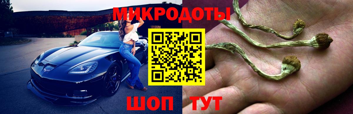 Псилоцибиновые грибы прущие грибы  Вход с VPN  Бор  Галлюциногенные грибы мицелий 